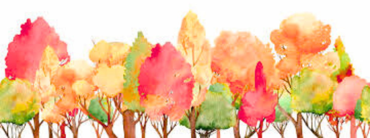 You are currently viewing Entretenir Jasmin