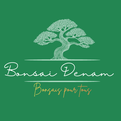 Bonsai Denam